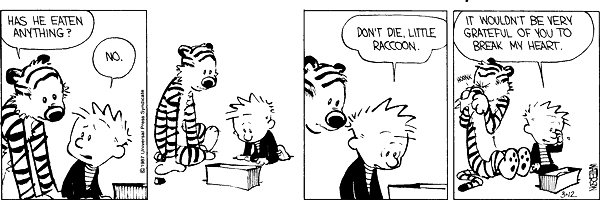 Calvin 312.gif